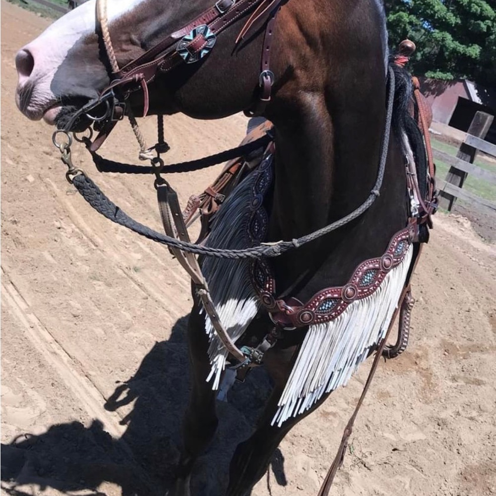 Fringe breast collar